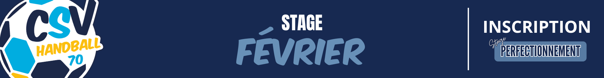 stage-fevrier-site.png